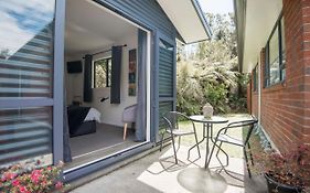 Six Kamahi Guest Studio